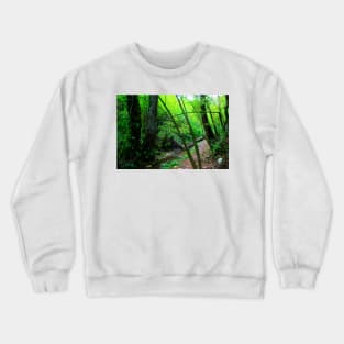 Scenery from Sarnano with the path to Cascata del Pellegrino with river, rocks, tree, trunks, greenery Crewneck Sweatshirt